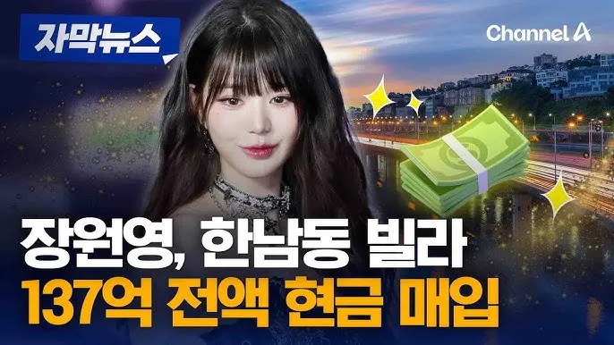 전액 현금으로 매입 밈 총정리