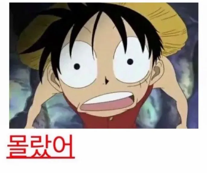 몰랐어 밈: 루피 당황 짤 총정리