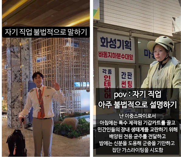 자기 직업 불법적으로 말하기 밈 총정리