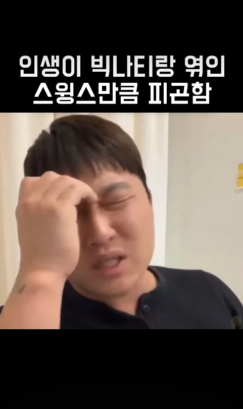 스윙스, 피곤하고 싶지 않다 밈 총정리