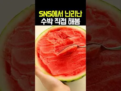 SNS 수박 소르베 직접 만들어 본 후기