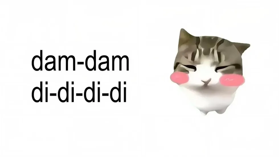 담 담 디디 디디 밈 총정리