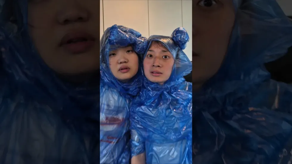 개굴개굴 춤추며 점프하다 (게굴댄스) 밈 총정리