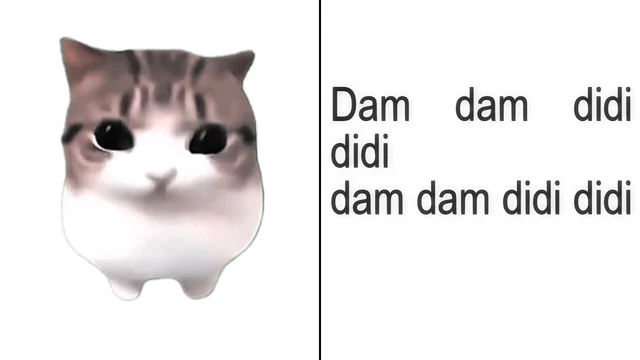 Dam Dam Didi Didi Cat · 풀버전 가사