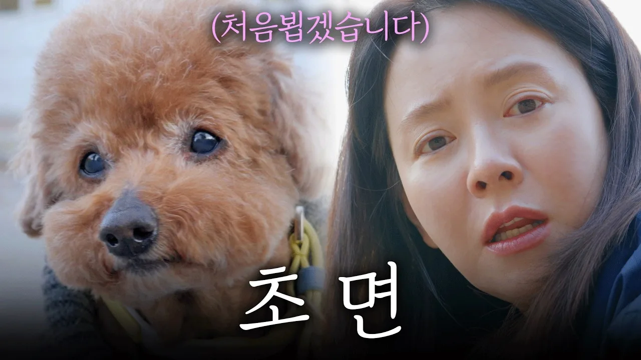 결이 닿는 사례 — 남의 강아지 산책 알바 절망편