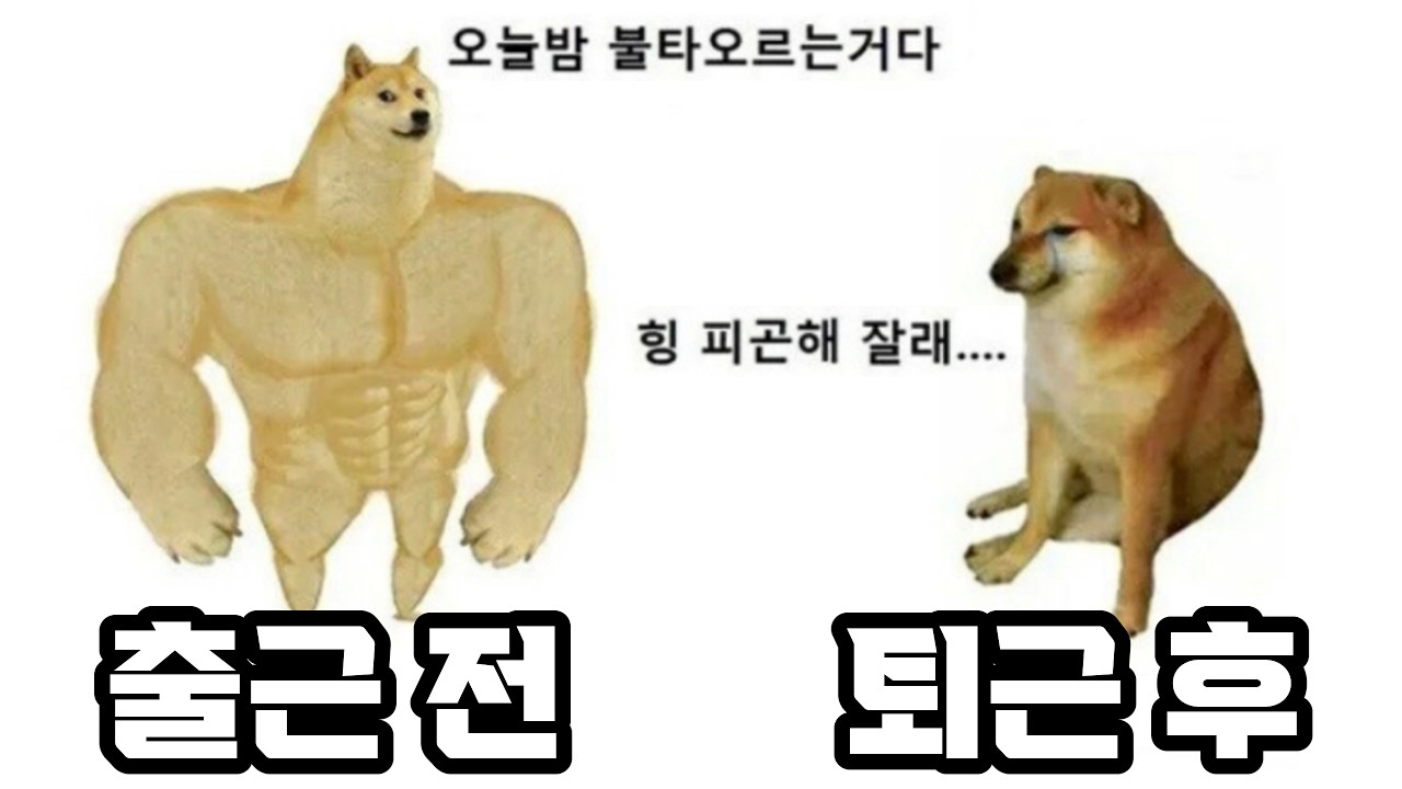 일하기 전 제 모습이고요 밈 총정리