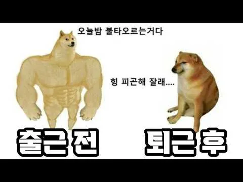 요즘 직장인들의 출근 전과 퇴근 후