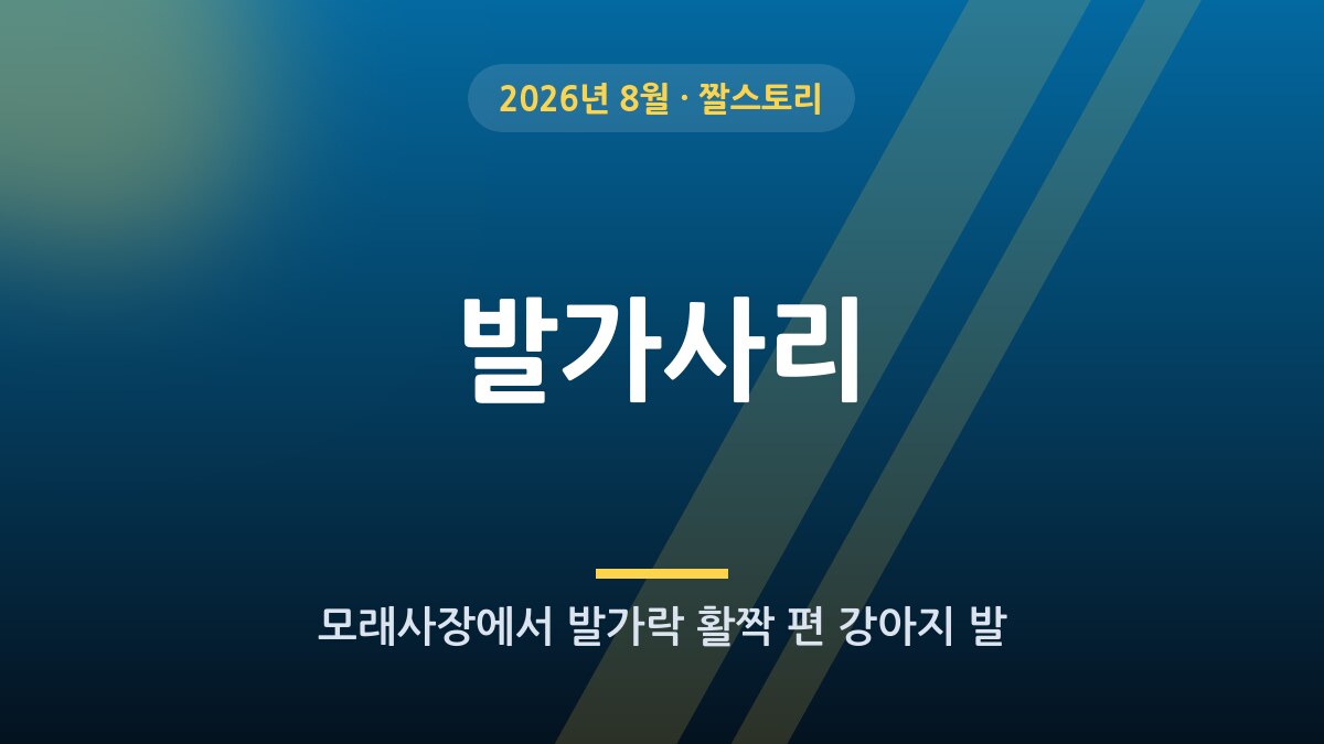 발가사리 밈, 무슨 뜻일까?