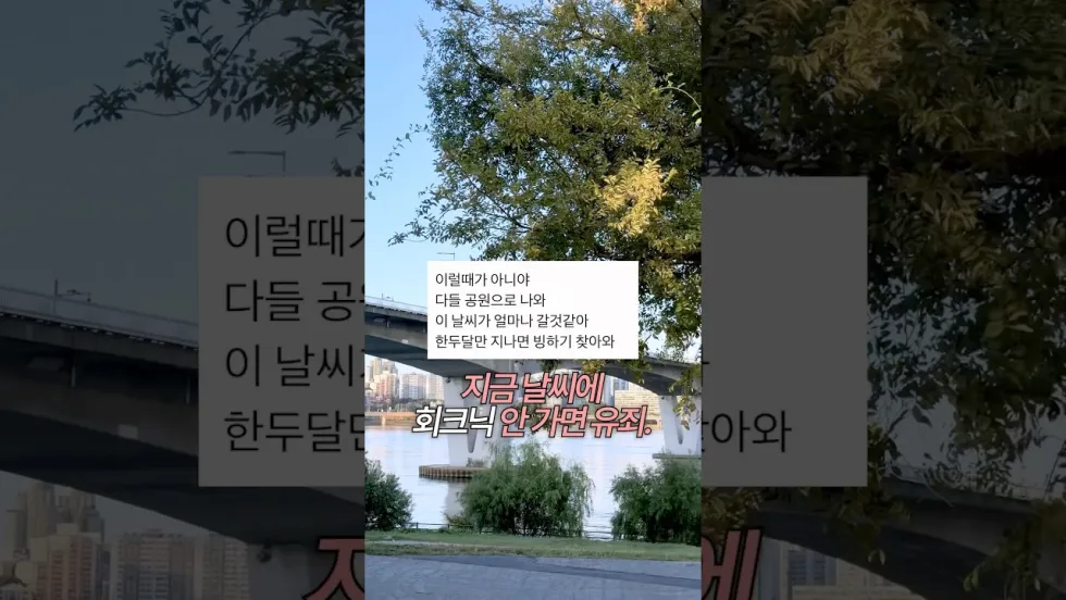 한강 회크닉 버전 — “여러분 지금 한강 가셔야 돼요”