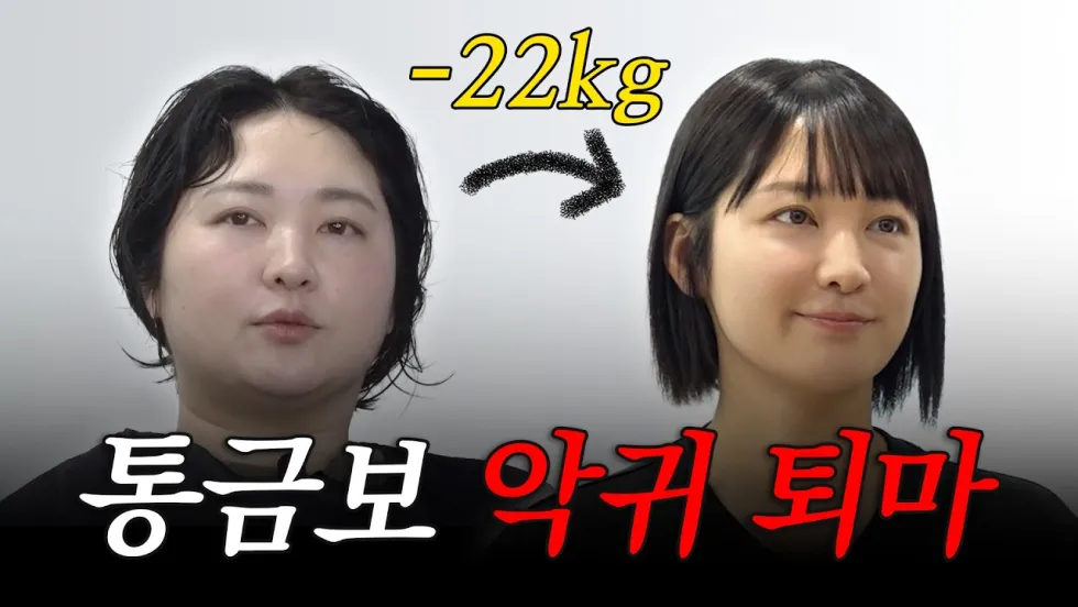 이것은 내가 OO가 되기까지의 이야기다 밈 총정리