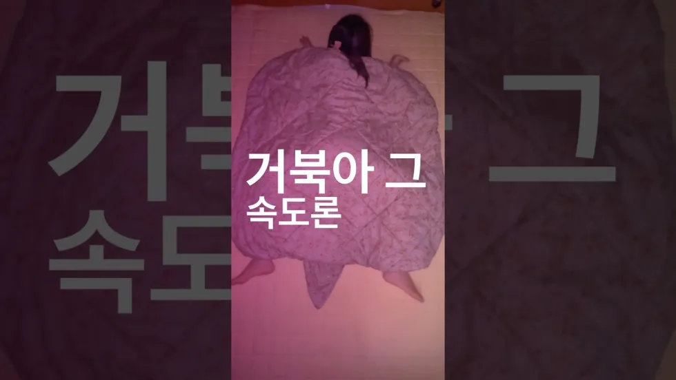 다비치 거북이 챌린지(이불 거북이) 완벽 정리