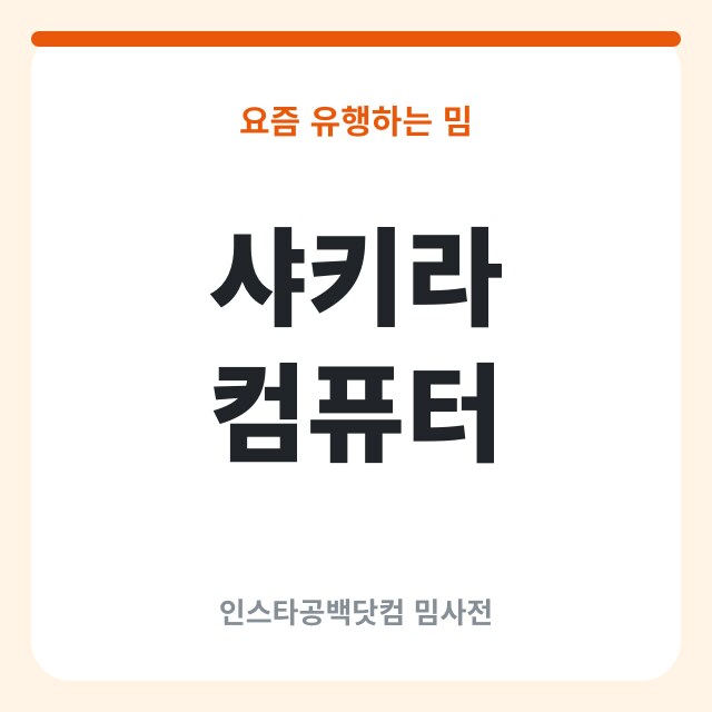 샤키라 컴퓨터 짤: 본인 재현으로 부활한 고전 밈