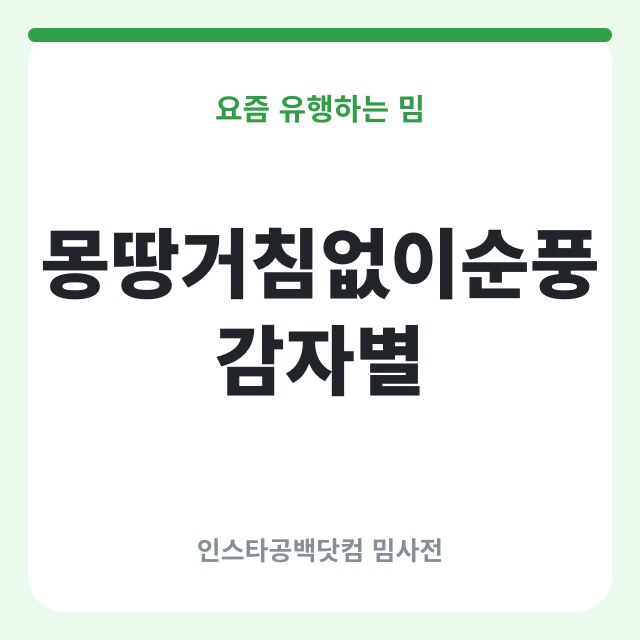몽땅거침없이순풍감자별: AI 시트콤 밈
