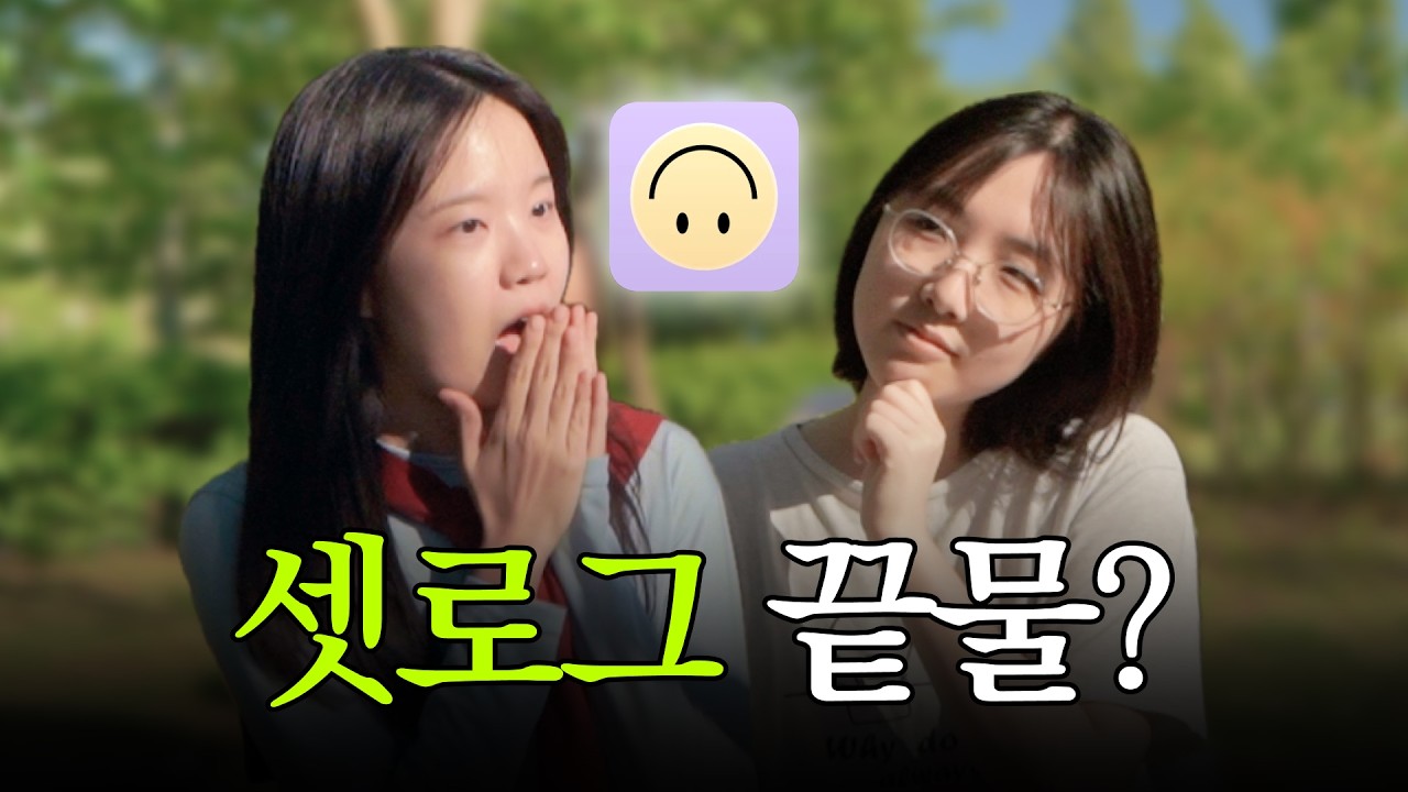 셋로그 밈의 인기 요인 분석