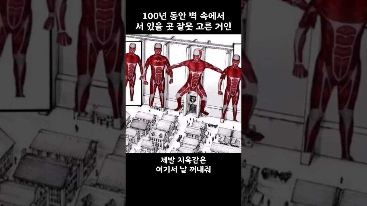벽거인 상황에 밈 적용