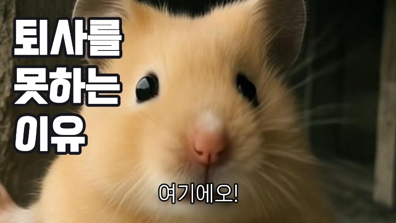 퇴사를 갈망하지만 못하는 심정