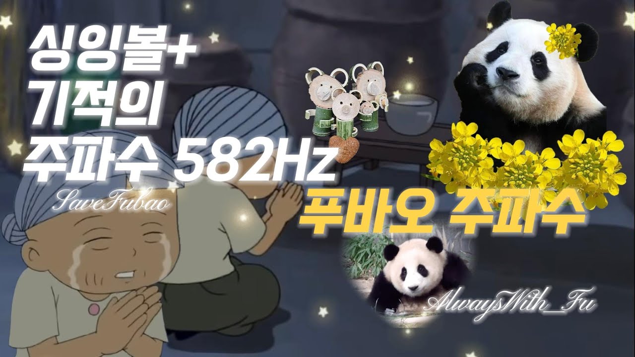 푸바오 돌아오는 주파수, 무슨 뜻일까?